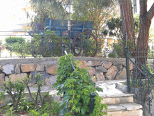 IMAG0046.jpg