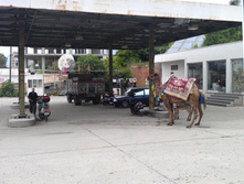 IMAG0059.jpg