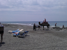 IMAG0069.jpg