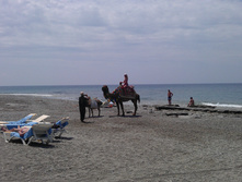 IMAG0070.jpg