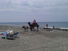 IMAG0071.jpg