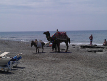 IMAG0072.jpg