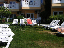 IMAG0082.jpg