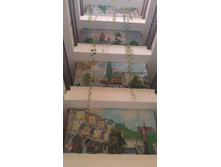 IMAG0085.jpg