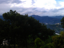 IMAG0125.jpg