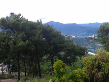 IMAG0126.jpg