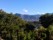 IMAG0127.jpg