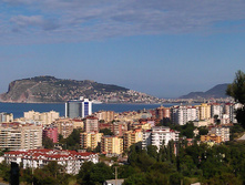 IMAG0129.jpg