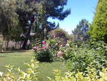 IMAG0131.jpg