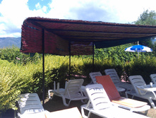 IMAG0132.jpg