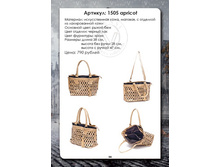 1505 apricot , 790�..jpg