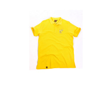 IJIM06 yellow web surf.jpg