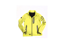 IJAF32 limone2.jpg