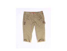 IJBS22 khaki.jpg