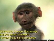 850855.jpg