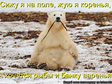 1093523.jpg