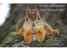 1098580.jpg