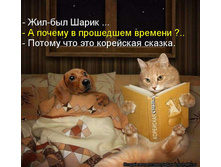 1137370.jpg