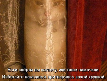 1166813.jpg