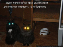 Dt.jpg