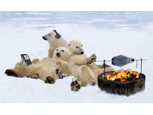 funpic2.gif