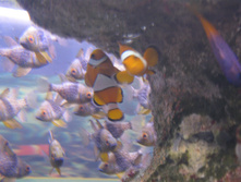28.08.2009 18:54:51