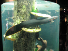 28.08.2009 18:55:54