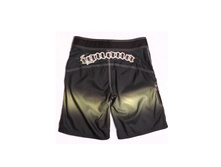 IJHS11 gradient black chive5.jpg
