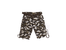 IJMS11  olive1.jpg