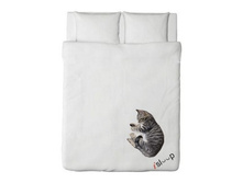 �������� cat