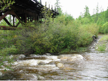 ����� ������ �. �������