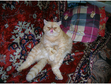 DSCN2742.JPG