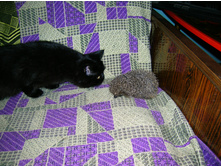 DSCN2735.JPG