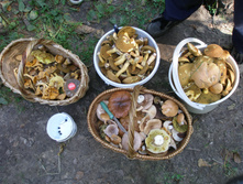 06.09.2009 11:57:09