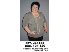 264144.jpg