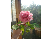 DSC03713.JPG