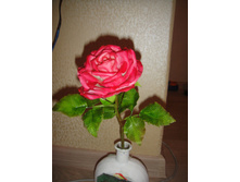 DSC03642.JPG