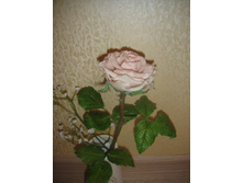 DSC03410.JPG