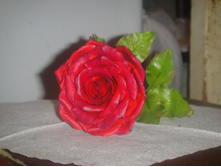DSC03167.JPG
