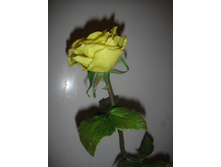 DSC03393.JPG