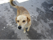 IMG_2302.jpg