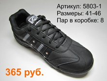 5803-1.JPG