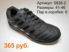 5838-2.JPG