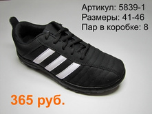 5839-1.JPG