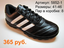 5852-1.JPG