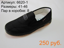 6620-1.JPG