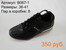 B067-1.JPG