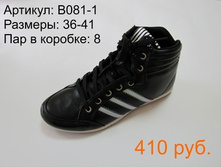 B081-1.JPG