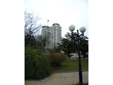 DSC01913.jpg
