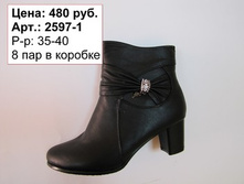 2597-1.jpg